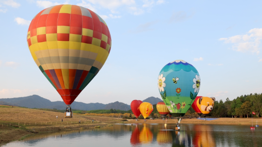 121A6784.00_02_55_24.Still005